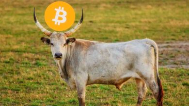 بیت کوین (BTC): نشانه‌هایی از بازگشت احساسات مثبت به بازار دیده می‌شود