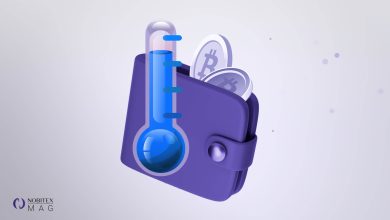 کیف پول سرد چیست؟ بررسی انواع کلد ولت و بهترین مدل‌های آن