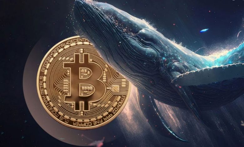 نهنگها در حال خرید میلیاردی بیت کوین؛ آیا صعود در راه است؟