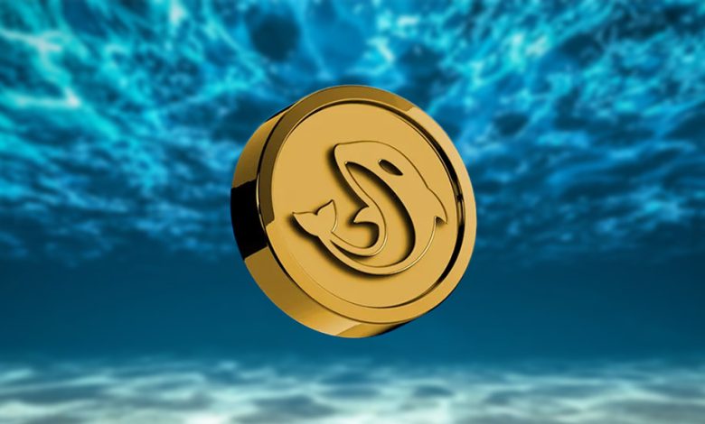 ارز اورکا (ORCA) چیست؟ + بررسی کامل ویژگیها