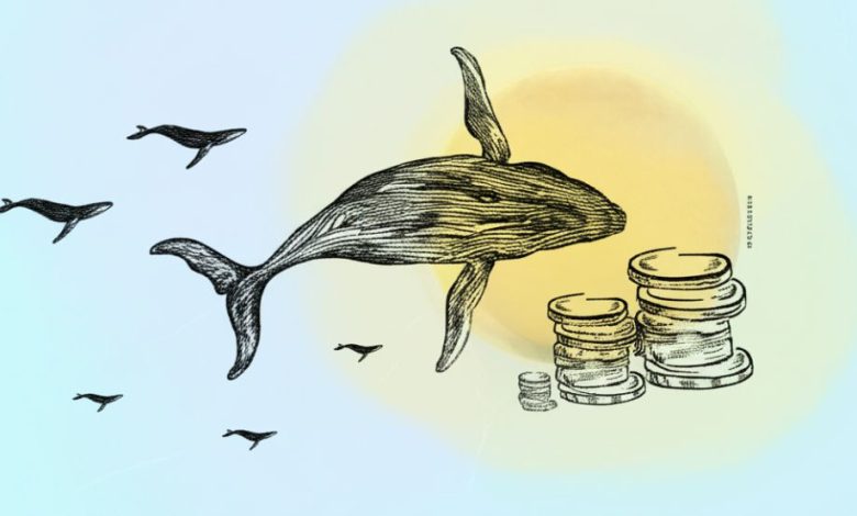 لیکویید شدن ۱۱۸ میلیون دلاری نهنگ رمزارز پس از سقوط بیت کوین!