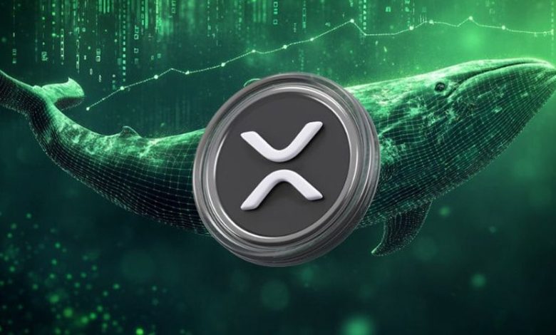 why-is-the-xrp-price-up-today-